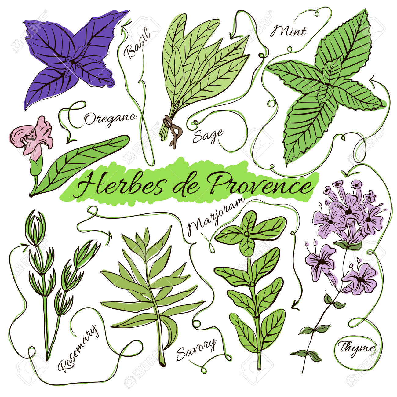 Résultat de recherche d'images pour "dessin herbes de provence"