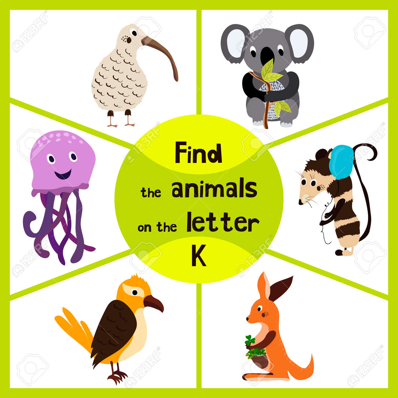 手紙 K オーストラリア キウイ鳥 有袋類カンガルー コアラ かわいい野生動物のすべての 3 を見つける面白い迷路ゲームを学習クマ 子供の教育のページです ベクトル図 のイラスト素材 ベクタ Image