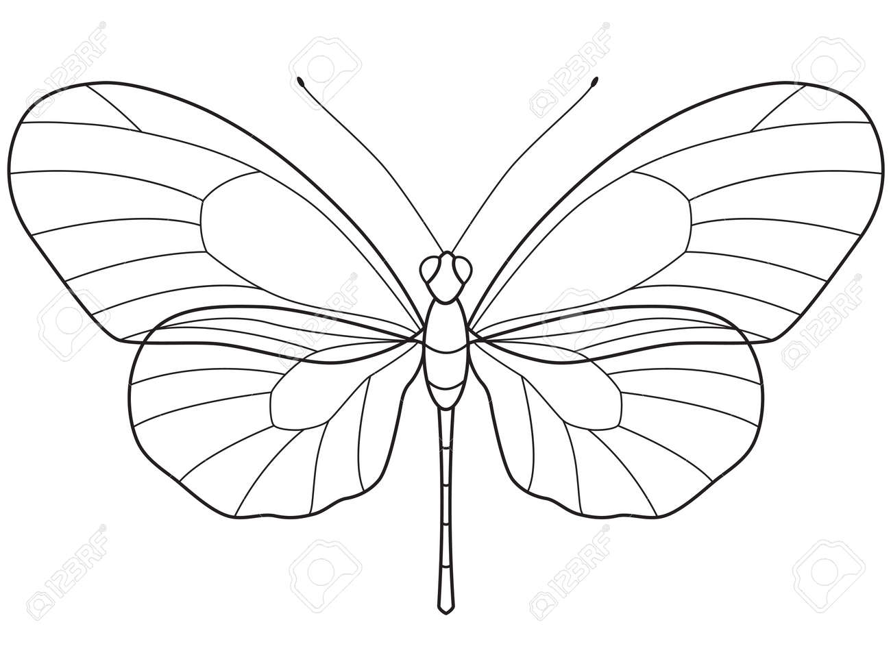 様々 な設計のための蝶の透明 Outlinear スケルトンのイラスト素材 ベクタ Image