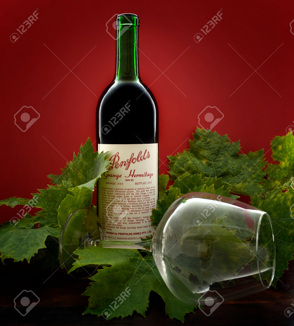 アデレード、南オーストラリア州 – 2015 年 2 月 23 日