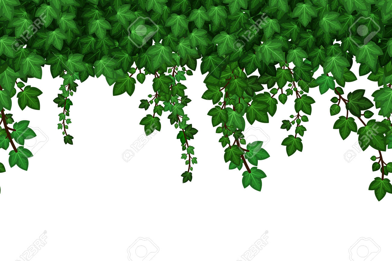 Green ivyfoliage garland. Hanging ivy leaves, summer natural plant wall background. Seamless pattern. Vector illustration - 171265139 Green ivyfoliage garland. Hanging ivy leaves, summer natural plant wall background. Seamless pattern. Vector illustration - 171265139