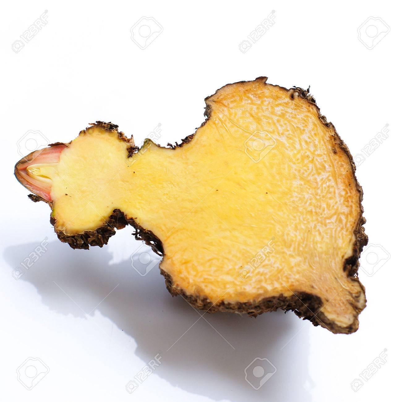 elephant yam stanley s water tub konjac stock photo picture and