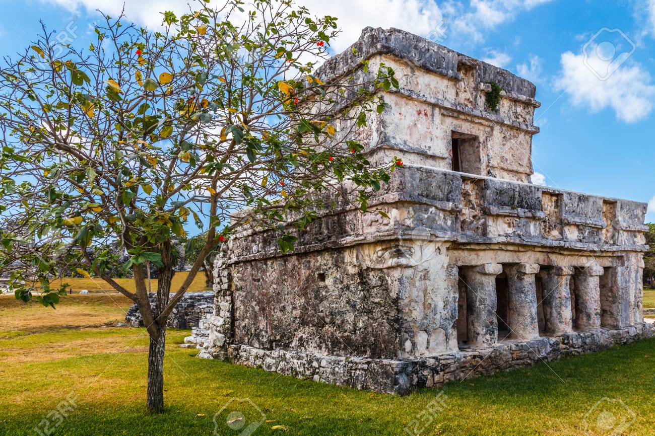 Old Ruined Ancient Mayan House With Tree In The Front Tulum - 