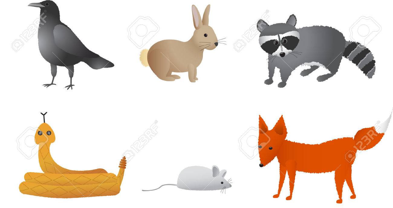 草原動物のカラス ウサギ アライグマ 蛇ガラガラ 分野マウスとフォックスを含みます のイラスト素材 ベクタ Image 草原動物のカラス ウサギ アライグマ 蛇ガラガラ 分野マウスとフォックスを含みます のイラスト素材 ベクタ Image