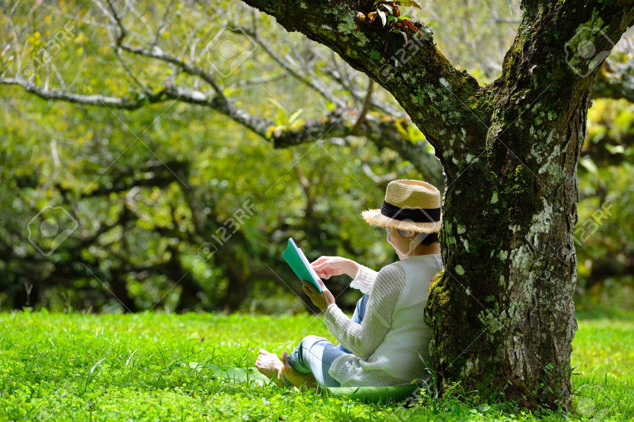 Middle aged woman sitting under a tree reading a book in the park - 68578137 Middle aged woman sitting under a tree reading a book in the park - 68578137