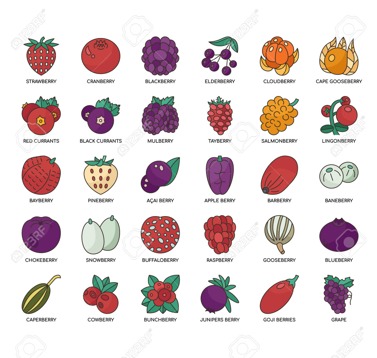 Set Of Types Of Berries Thin Line Icons For Any Web And App