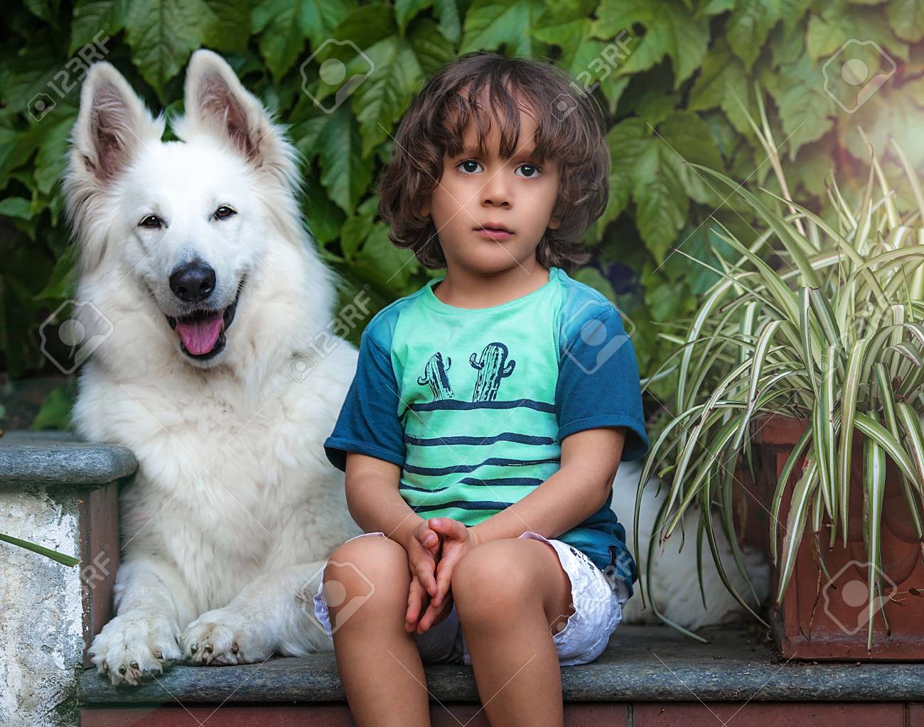 Bebe Affectueux Avec Un Chien Berger Blanc Suisse Banque D Images Et Photos Libres De Droits Image