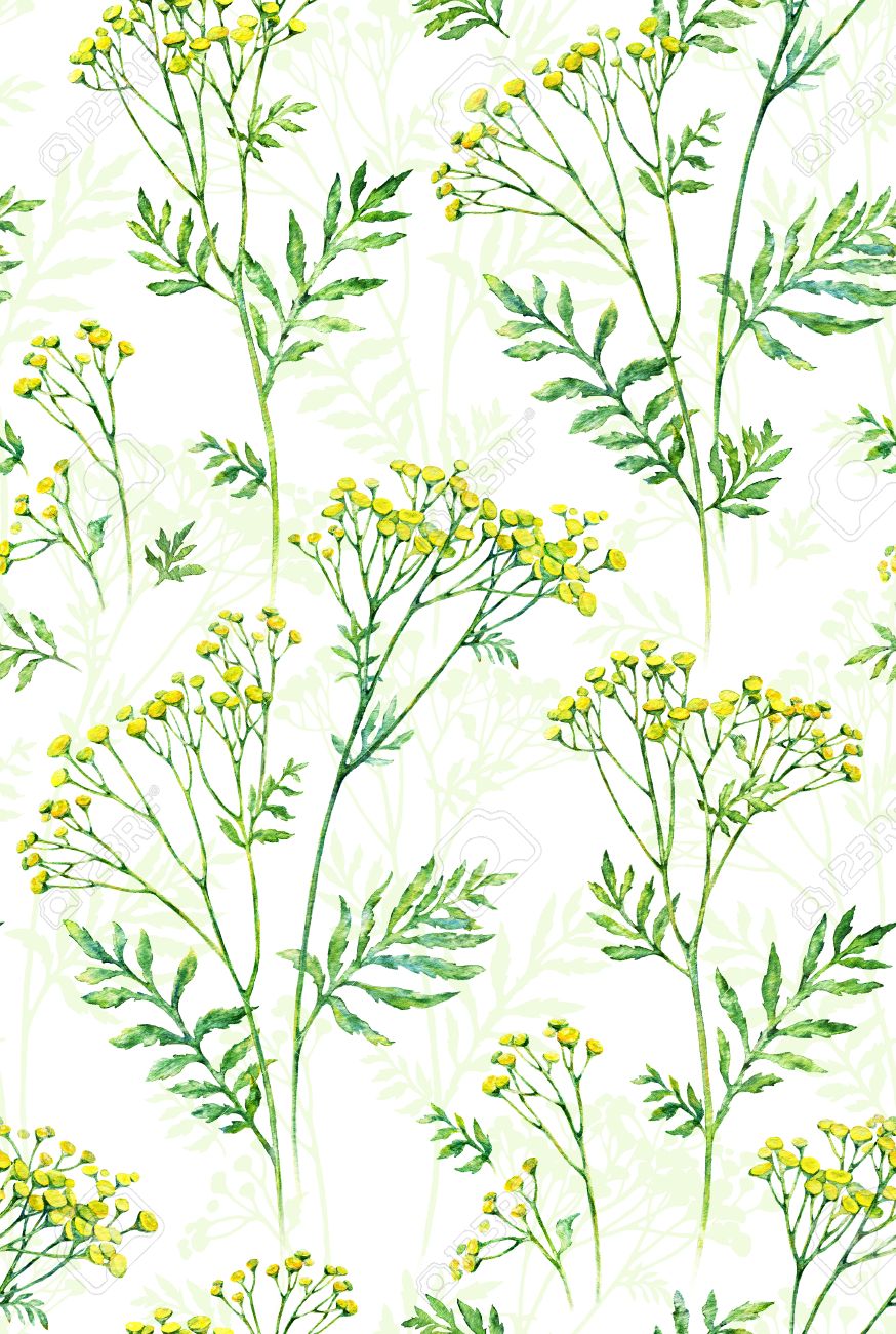 Flor Inconsutil Con El Modelo De Hoja De Antecedentes Ilustracion Botanica Pintura De La Acuarela Fotos Retratos Imagenes Y Fotografia De Archivo Libres De Derecho Image