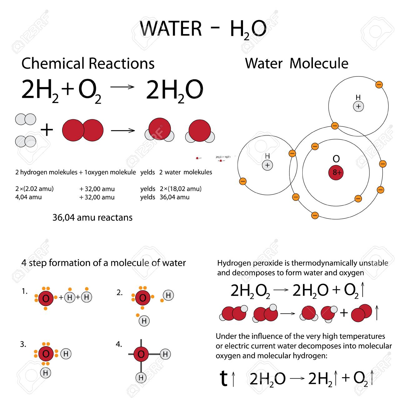 vector pattern with chemical formulas the structure of water what is the chemical formula for water