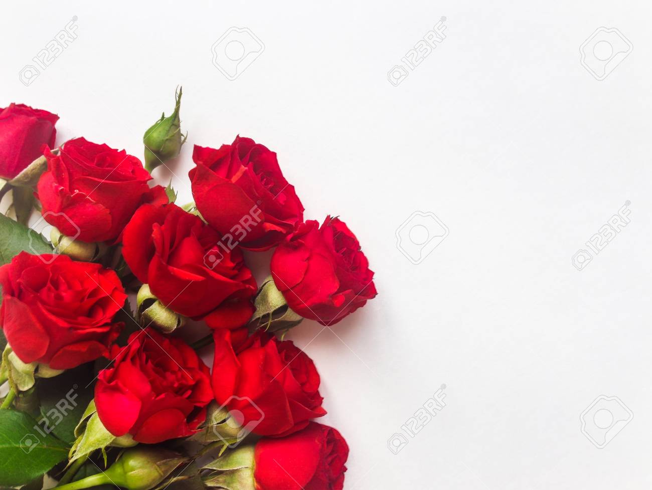 Bunch Of Small Beautiful Red Rose Flowers Isolated On White