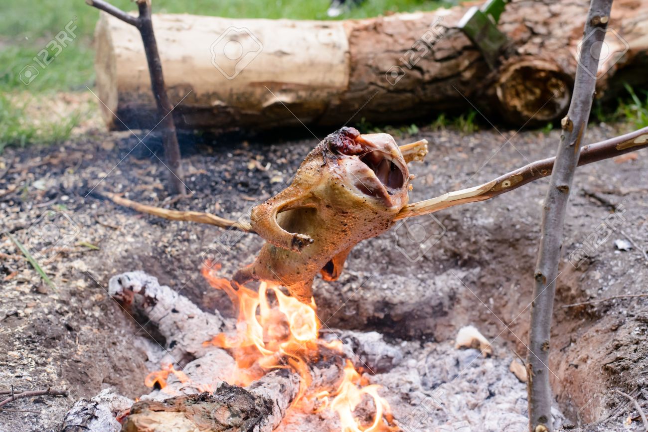 chicken roasting on make shift stick rotisserie over open camp