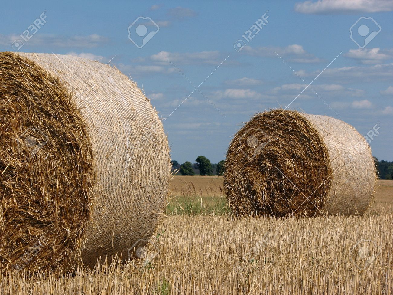 Golden Sheaves