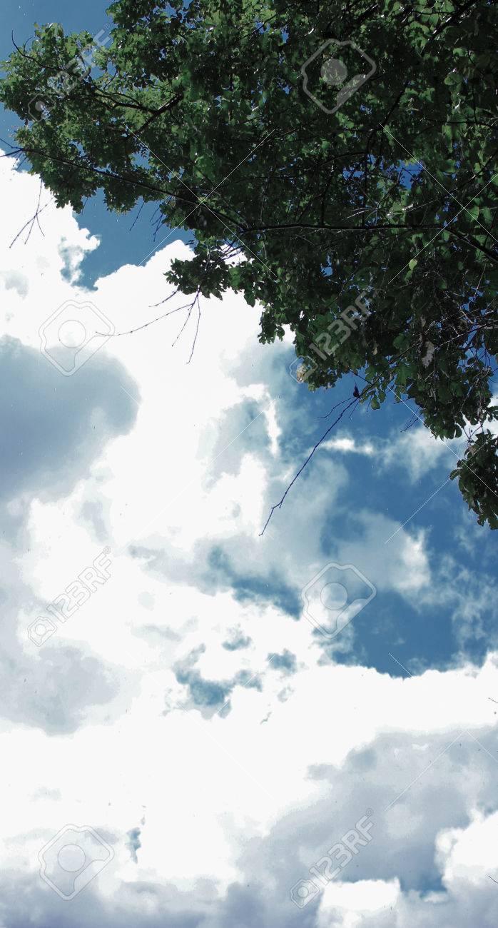 空を見上げる の写真素材 画像素材 Image