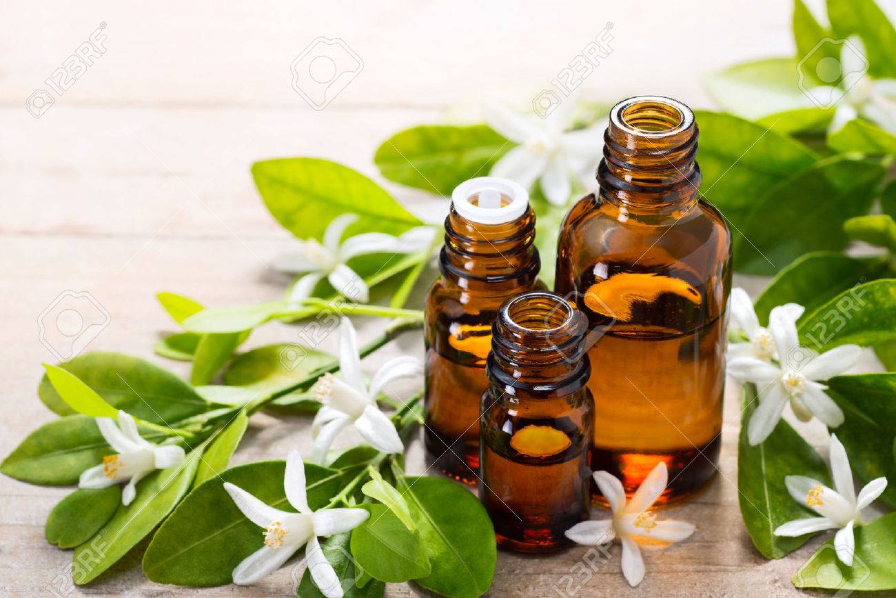 neroli essential oil in the brown glass bottle, with fresh white neroli flower and green leaves. - 73793174 neroli essential oil in the brown glass bottle, with fresh white neroli flower and green leaves. - 73793174