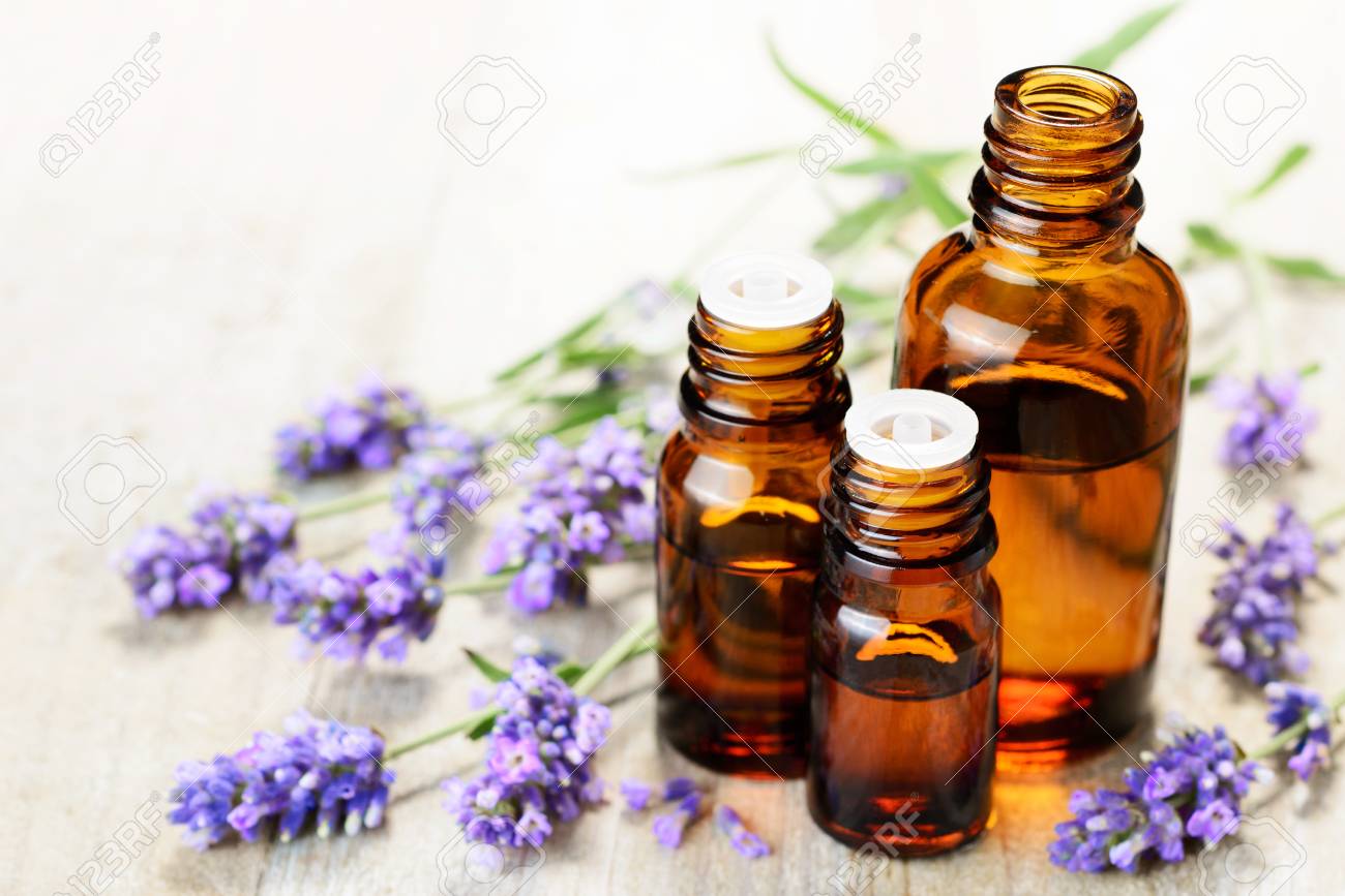 Lavender essential oil in the amber bottle, with fresh lavender flower heads. - 81303068 Lavender essential oil in the amber bottle, with fresh lavender flower heads. - 81303068