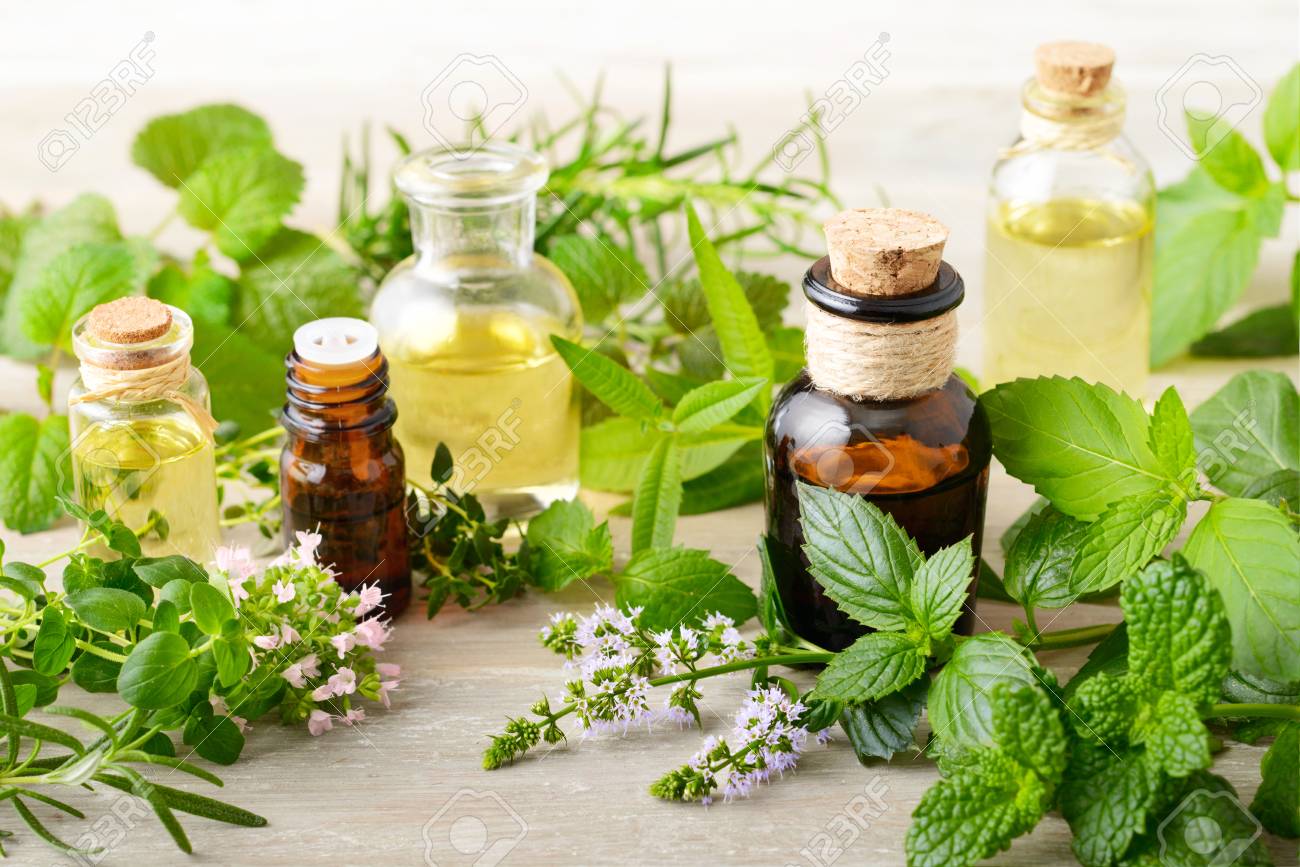 fresh herbs and massage oils on the wooden board - 95051887 fresh herbs and massage oils on the wooden board - 95051887
