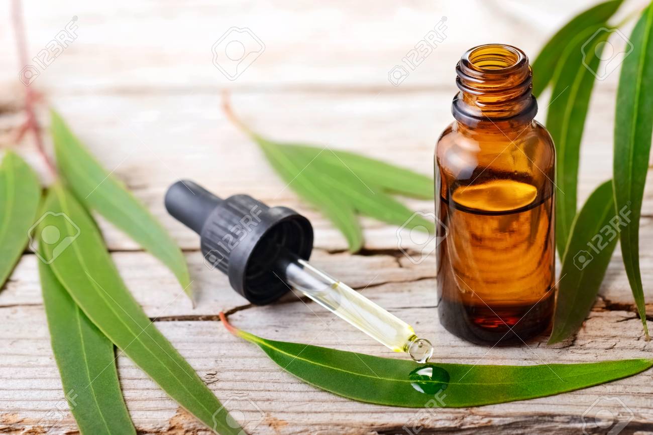 Eucalyptus essential oil in the amber bottle - 95890393 Eucalyptus essential oil in the amber bottle - 95890393