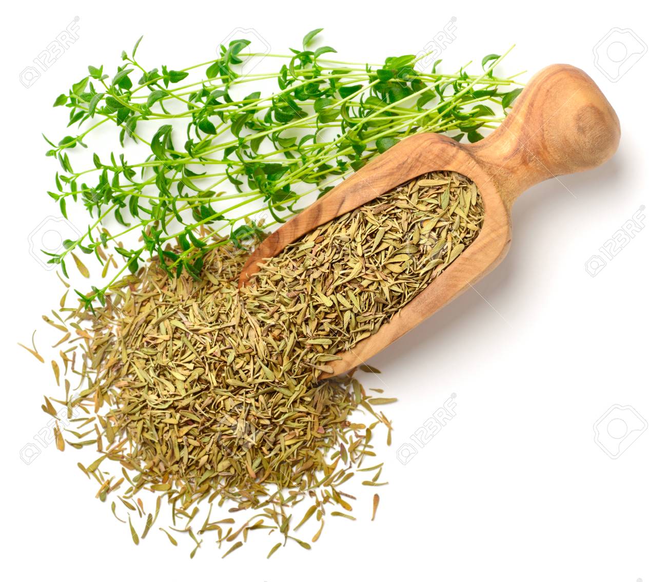 Dried Thyme Leaves In The Wooden Scoop With Fresh Thyme Isolated Stock Photo Picture And Royalty Free Image Image 100403378