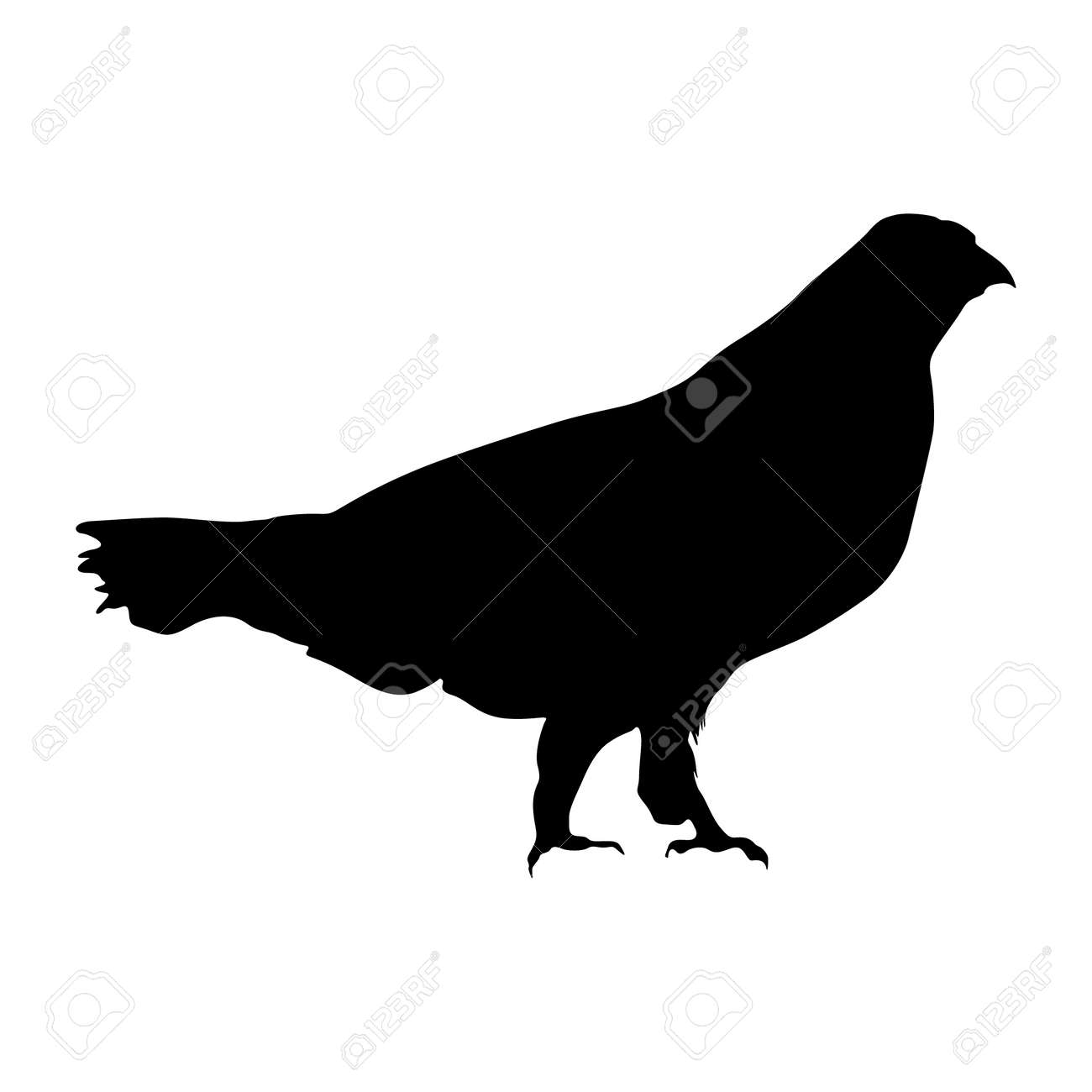 Grouse (Tetraoninae) Standing On a Side View Silhouette Found In Map Of Europe - 155124046 Grouse (Tetraoninae) Standing On a Side View Silhouette Found In Map Of Europe - 155124046
