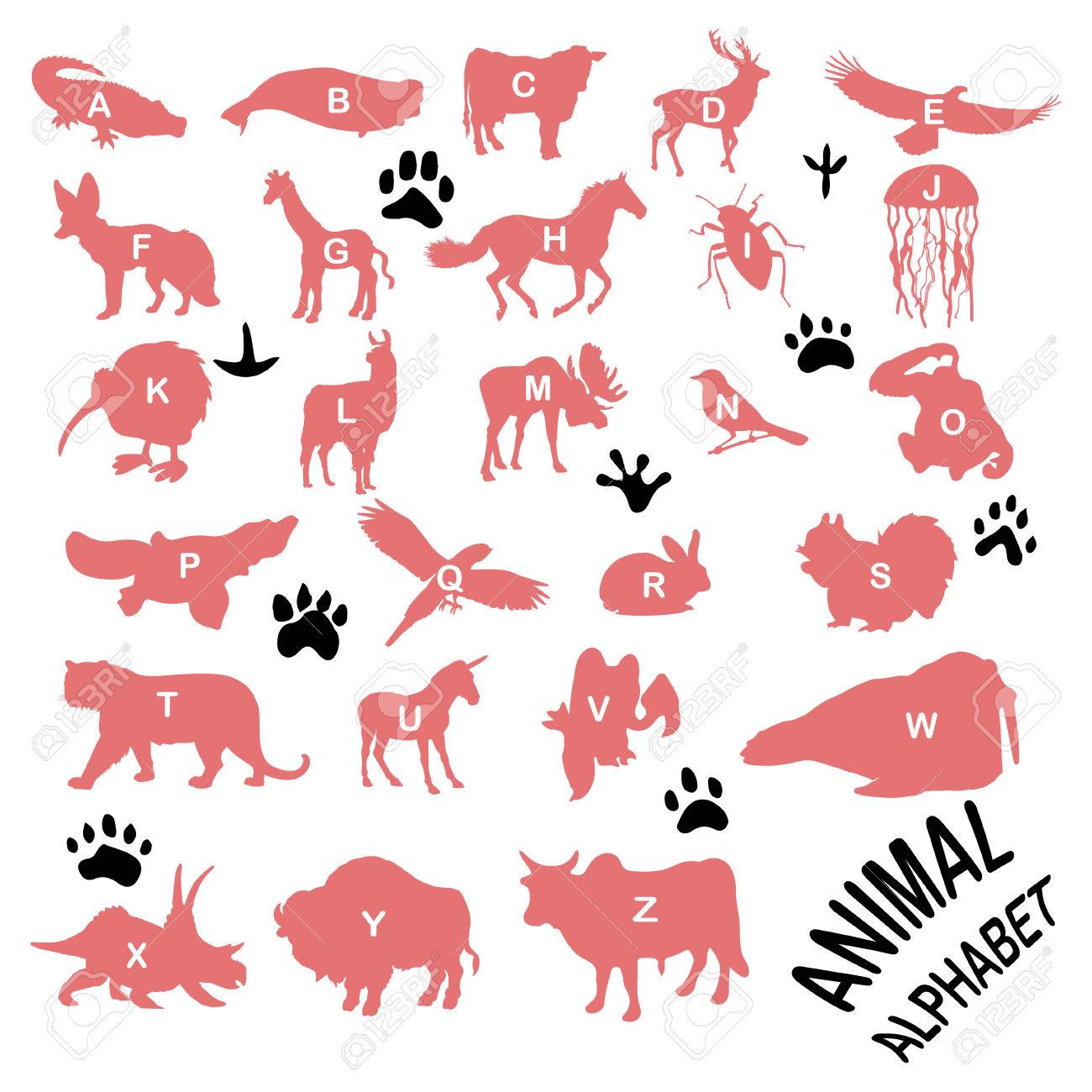 動物シルエット文字アルファベット 動物 のイラスト素材 ベクタ Image