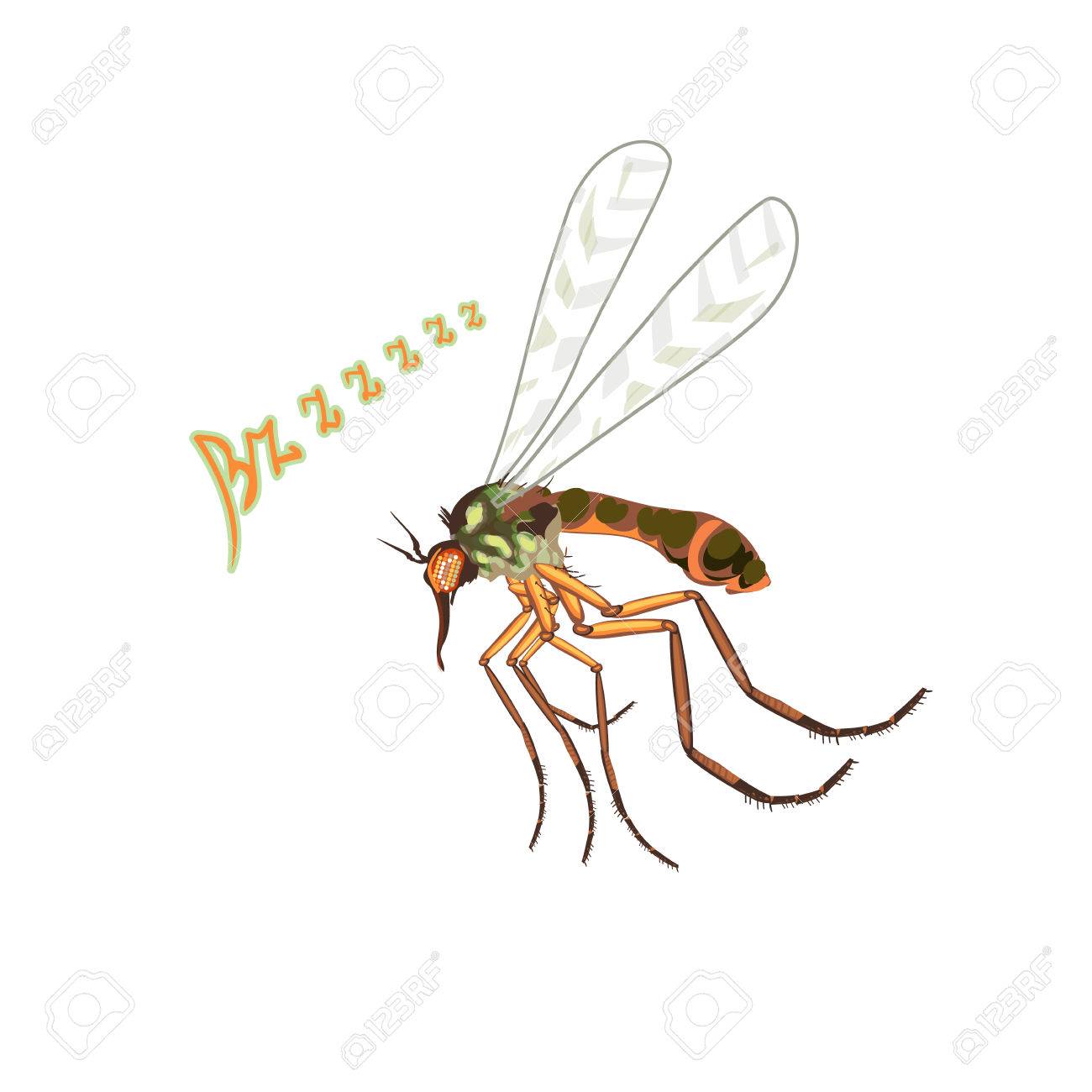 蚊は血を吸うハエします 血を吸う昆虫 蚊 賑やかな サウンドの Bzzzz は 翼をぱたぱたさせます 大きな悪い蚊 細かい ベクトルでリアルなアート イラストと鮮やかな色 のイラスト素材 ベクタ Image 蚊は血を吸うハエします 血を吸う昆虫 蚊 賑やかな サウンドの Bzzzz は 翼をぱたぱたさせます 大きな悪い蚊 細かい ベクトルでリアルなアート イラストと鮮やかな色 のイラスト素材 ベクタ Image