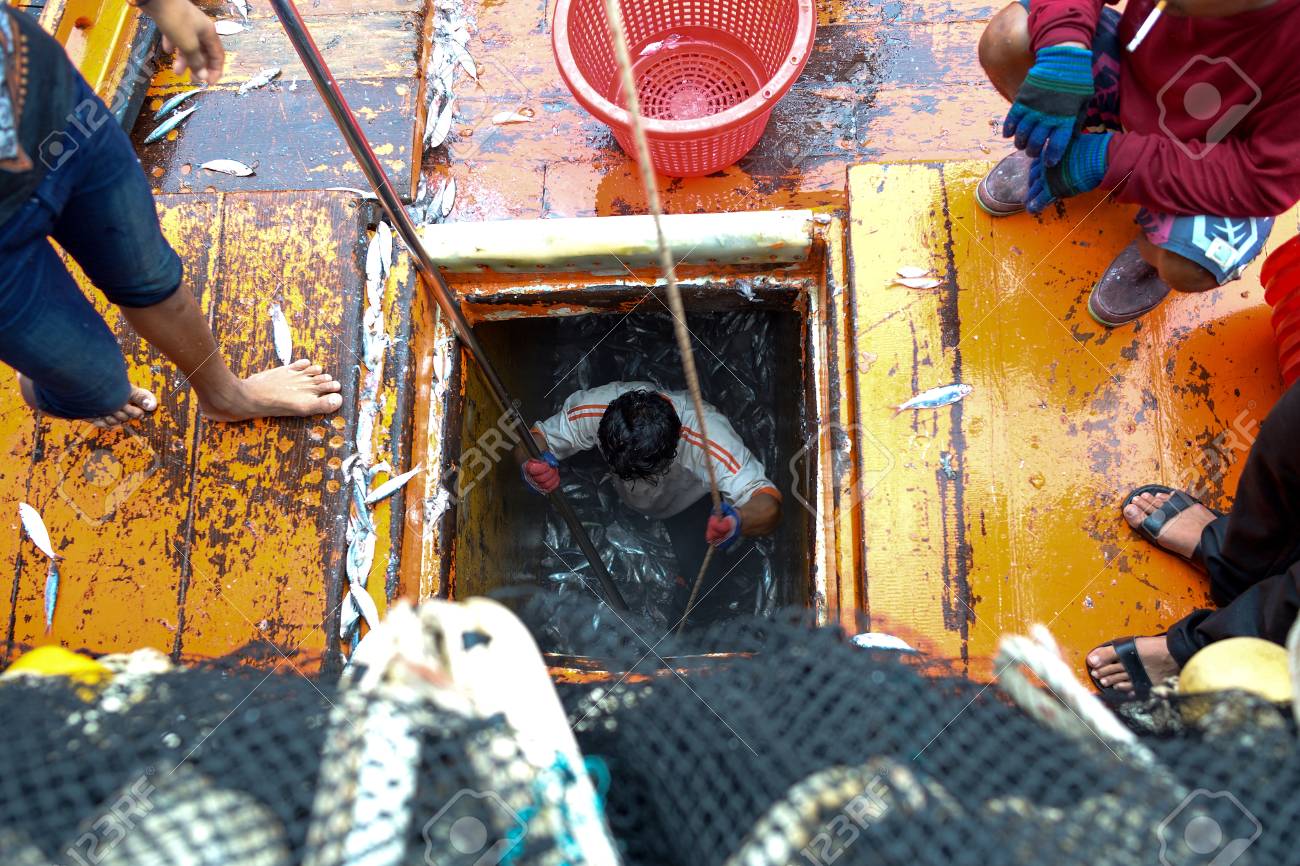 漁師の仕事はバスケットにボートの下で魚を取る の写真素材 画像素材 Image 漁師の仕事はバスケットにボートの下で魚を取る の写真素材 画像素材 Image
