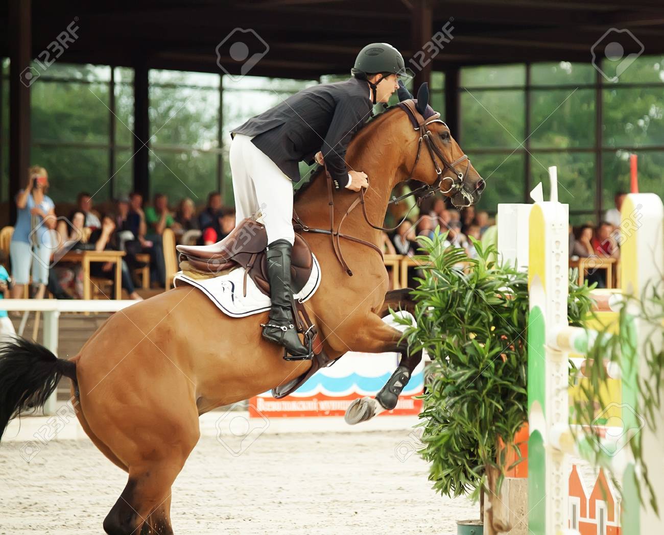 etiam-dictum-ipsum-a-felis