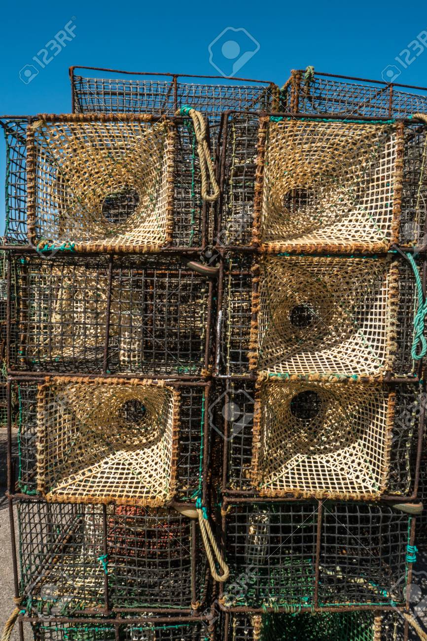 タコと海の中の魚をキャッチするためのトラップ クローズ アップ の写真素材 画像素材 Image