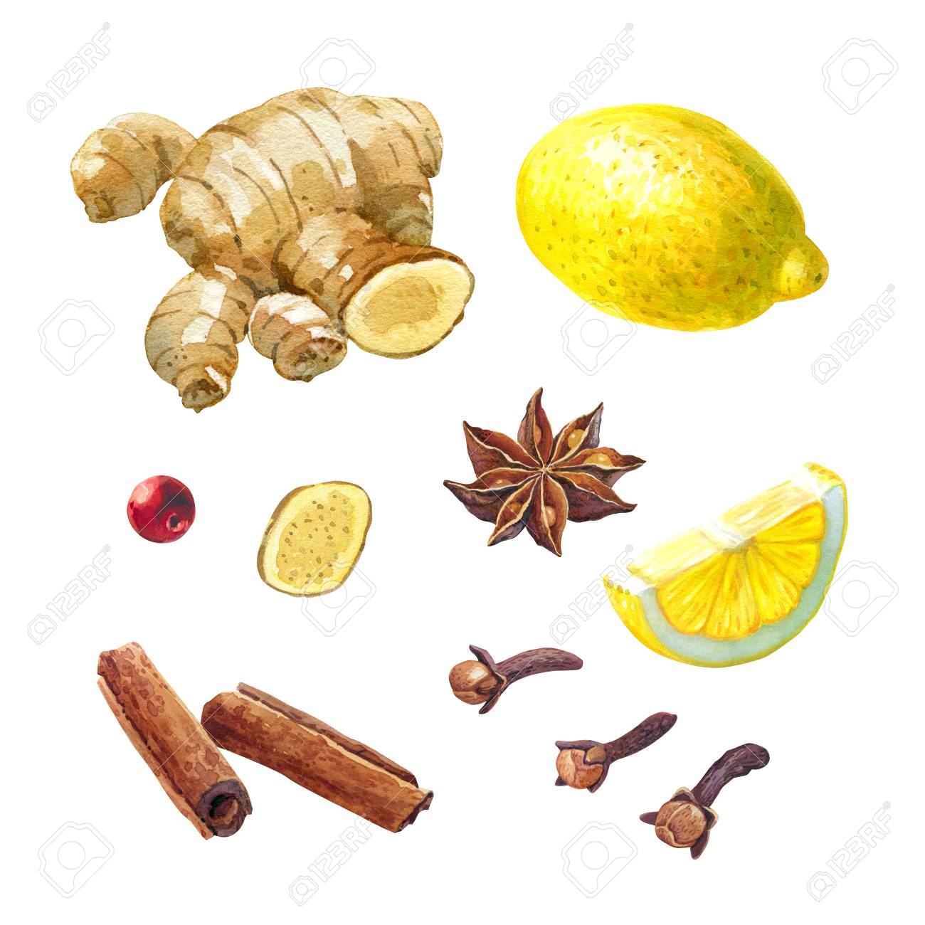 レモン ショウガの根 Badiam Staranise シナモン クローブが含まれているクリッピング パスを白い背景上に孤立の水彩イラスト の写真素材 画像素材 Image
