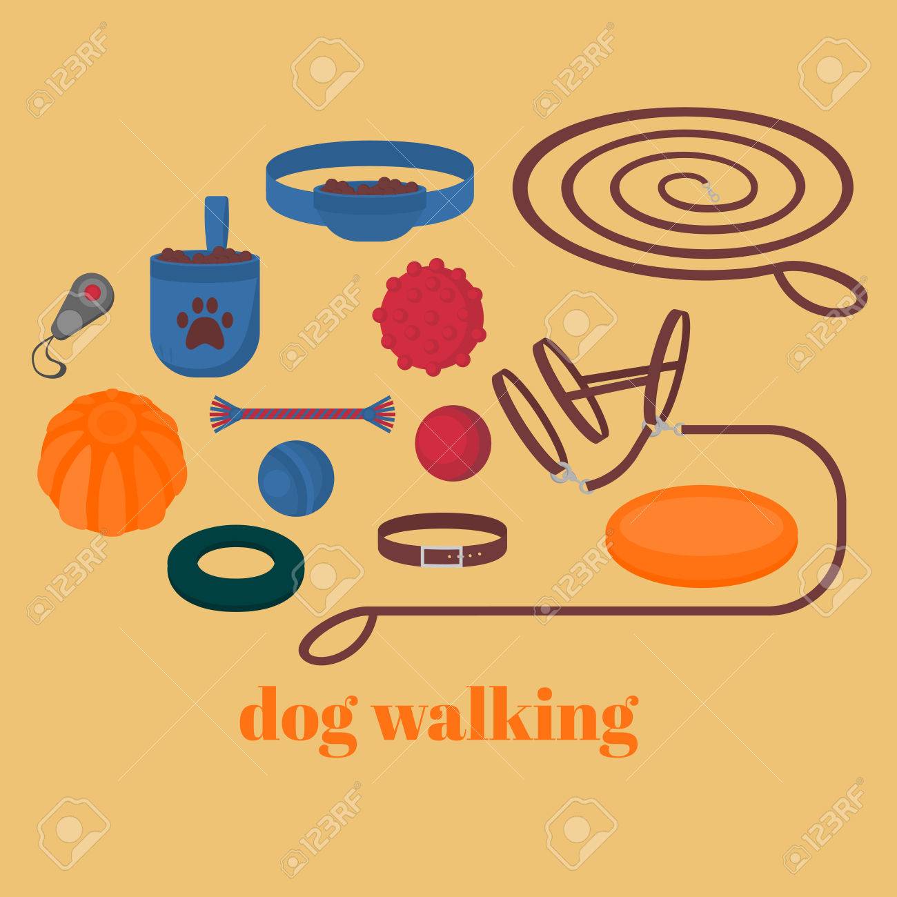 dog walking items
