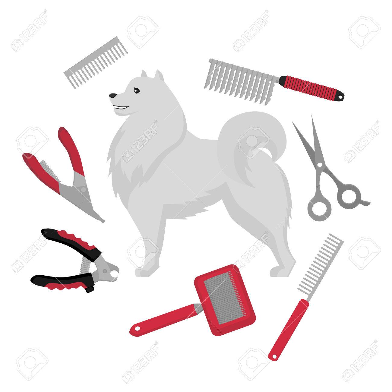 groomer tools