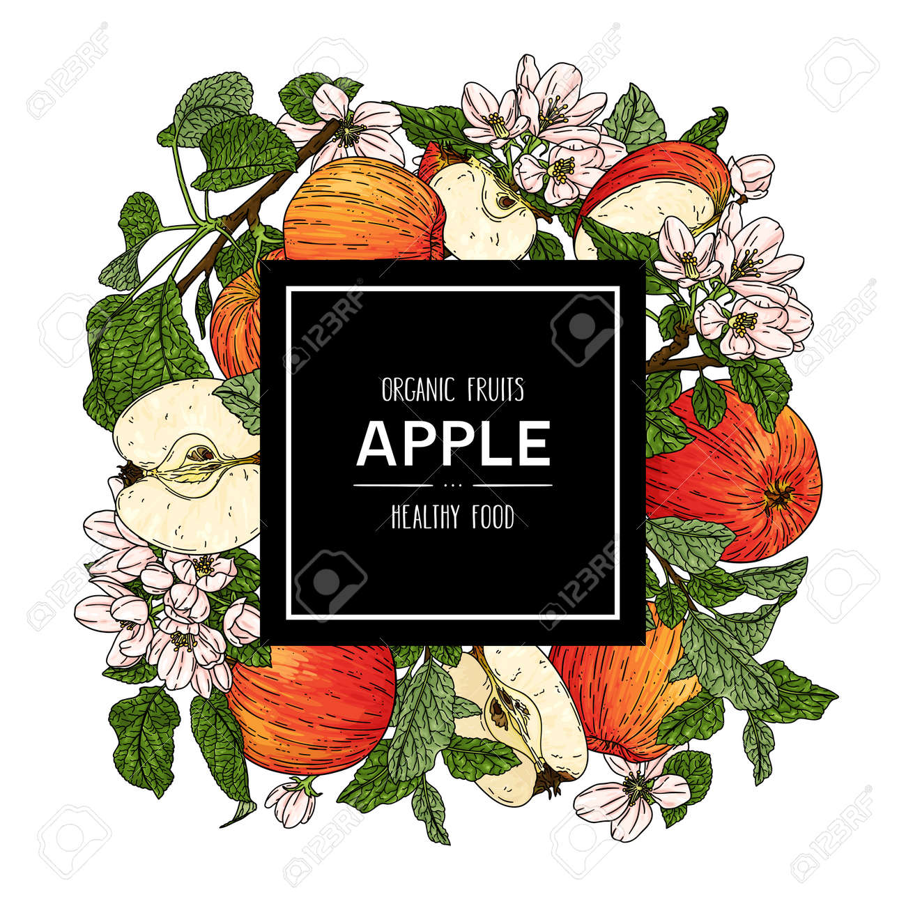 Vector hand drawn background with organic whole apple, half, flower, branch and leaves. Organic fruits healthy illustration - 168597277 Vector hand drawn background with organic whole apple, half, flower, branch and leaves. Organic fruits healthy illustration - 168597277