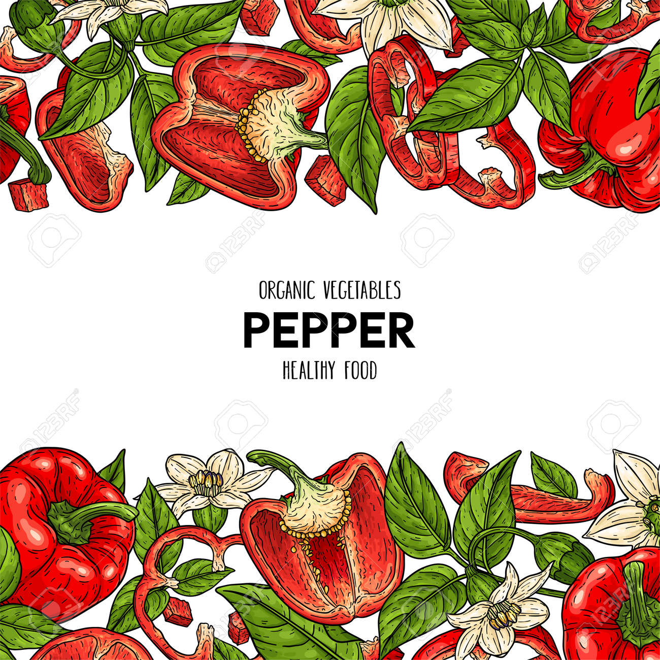 Vector hand drawn frame with bell peppers, slices, halves, pieces, flower, branch and leaves. Organic vegetables illustration - 168597398 Vector hand drawn frame with bell peppers, slices, halves, pieces, flower, branch and leaves. Organic vegetables illustration - 168597398