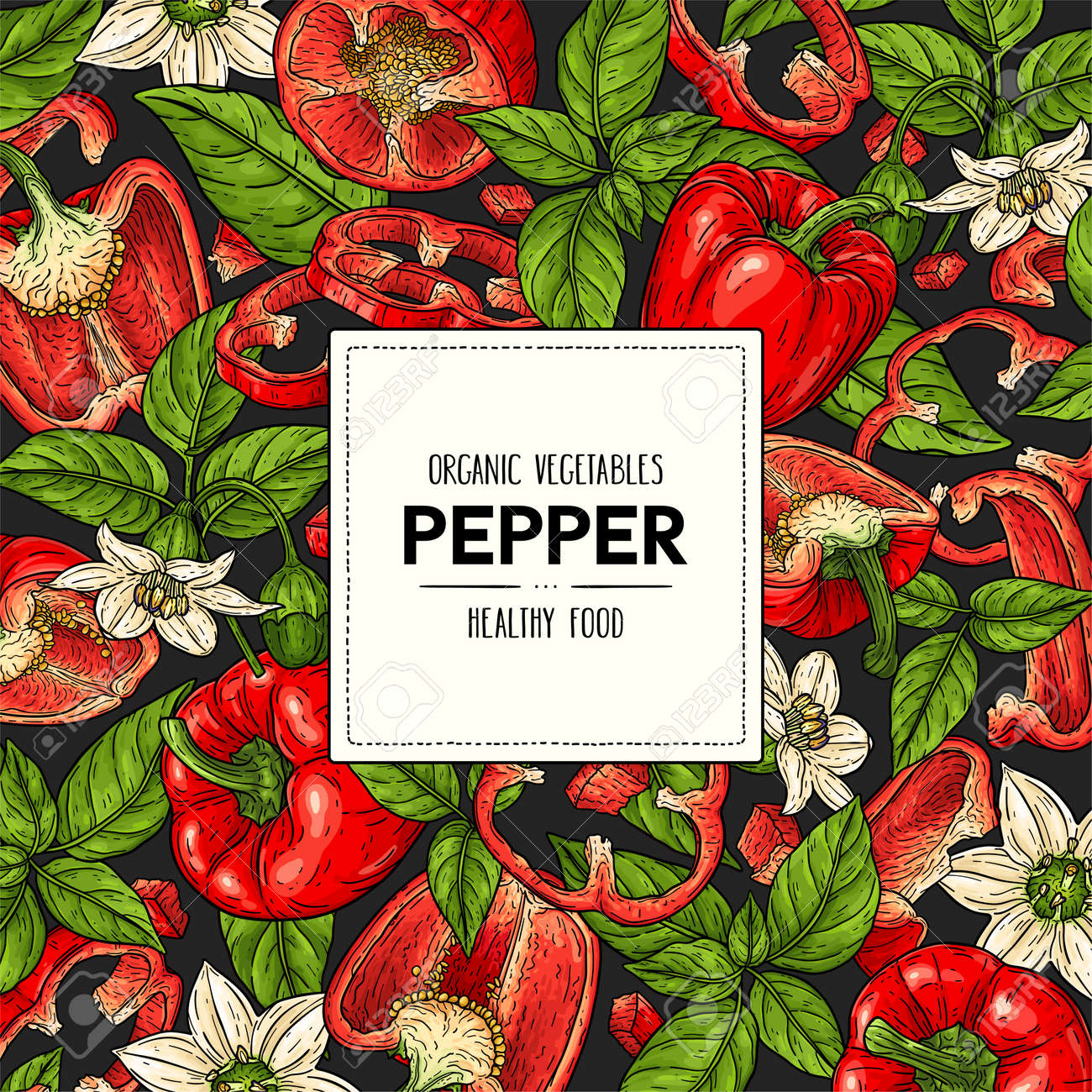 Vector hand drawn banner with bell peppers, slices, halves, pieces, flower, branch and leaves isolated on dark background. Healthy vegetables illustration - 168597413 Vector hand drawn banner with bell peppers, slices, halves, pieces, flower, branch and leaves isolated on dark background. Healthy vegetables illustration - 168597413
