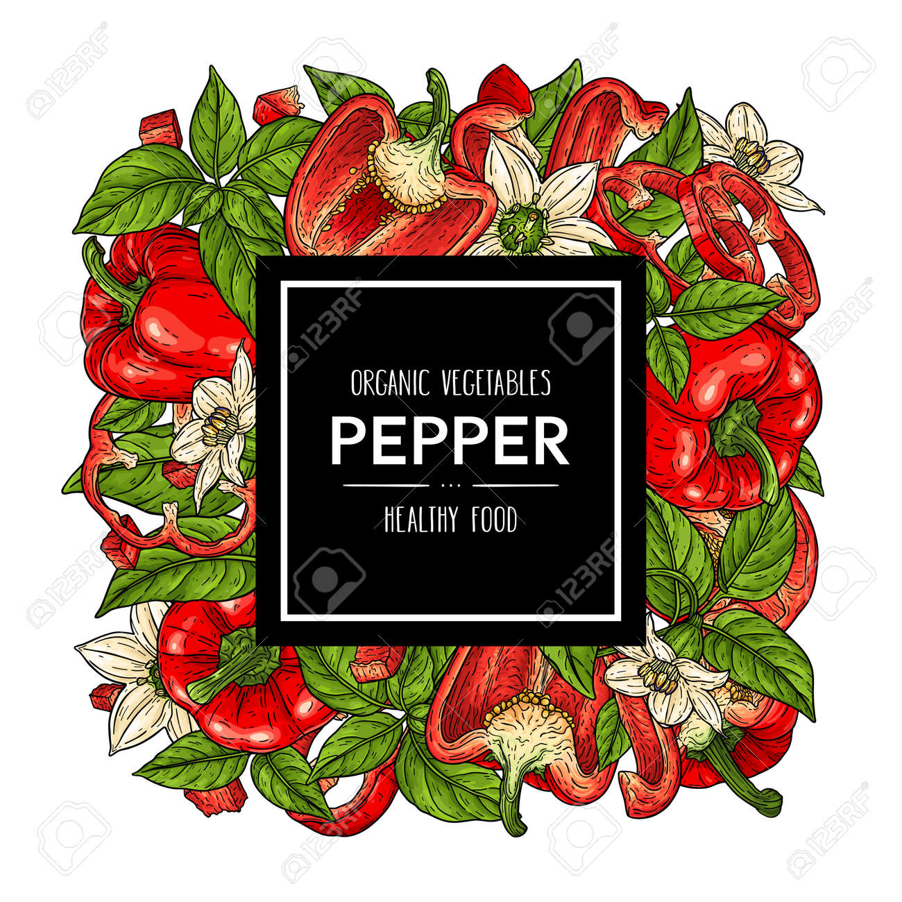 Vector hand drawn background with natural bell peppers, slices, halves, pieces, flower, branch and leaves. Healthy vegetables illustration - 168597422 Vector hand drawn background with natural bell peppers, slices, halves, pieces, flower, branch and leaves. Healthy vegetables illustration - 168597422