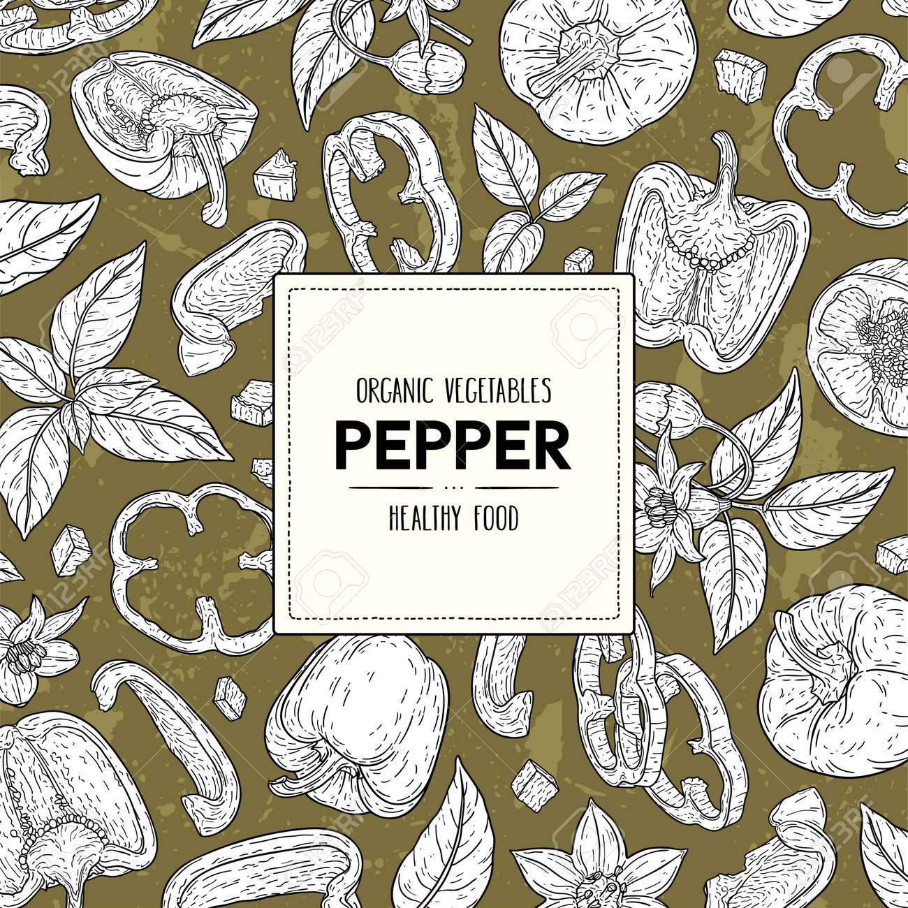 Vector hand drawn banner with bell peppers, slices, halves, pieces, flower, branch and leaves. Outline ink style sketch. Natural vegetables healthy illustration - 168597426 Vector hand drawn banner with bell peppers, slices, halves, pieces, flower, branch and leaves. Outline ink style sketch. Natural vegetables healthy illustration - 168597426