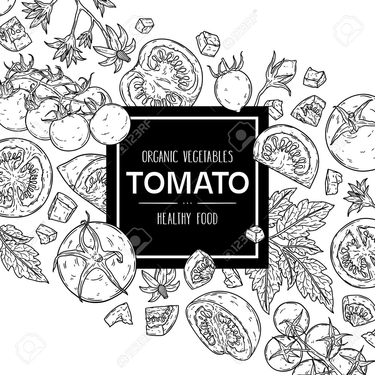 Vector hand drawn background with natural tomatoes, slices, half, flower, branch with leaves and cherry tomatoes. Outline ink style illustration. - 168597428 Vector hand drawn background with natural tomatoes, slices, half, flower, branch with leaves and cherry tomatoes. Outline ink style illustration. - 168597428