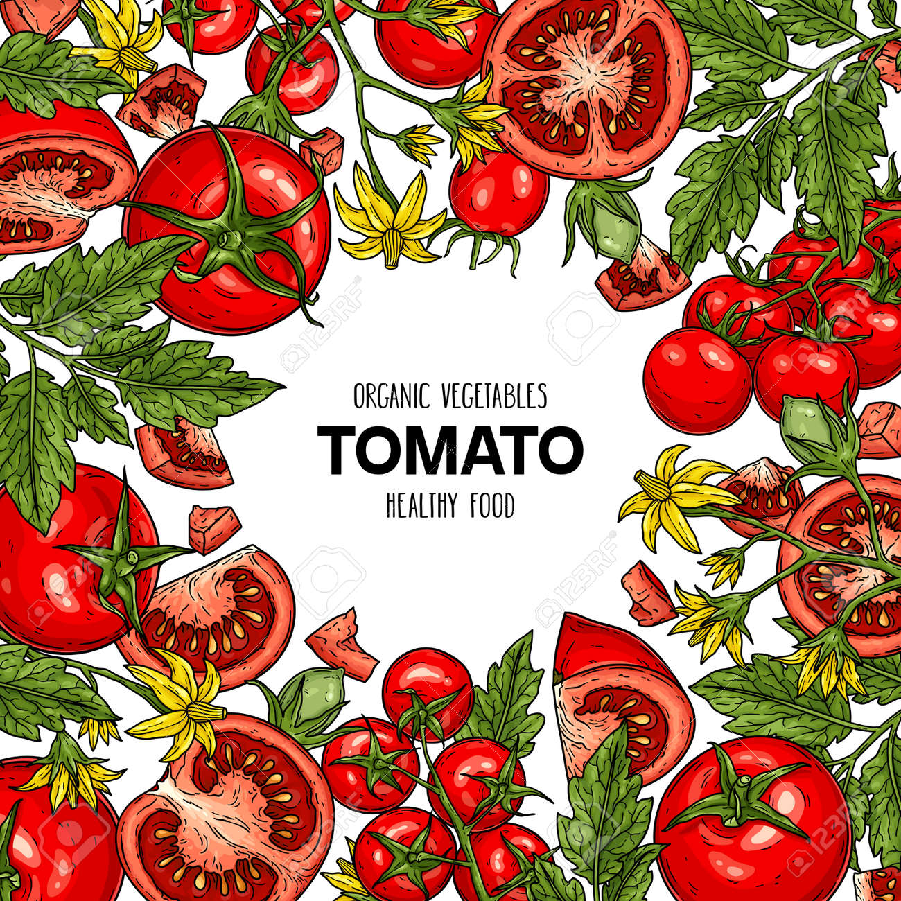 Vector hand drawn frame with tomatoes, slices, half, flower, branch with leaves and cherry tomatoes. Natural vegetables illustration - 168597455 Vector hand drawn frame with tomatoes, slices, half, flower, branch with leaves and cherry tomatoes. Natural vegetables illustration - 168597455