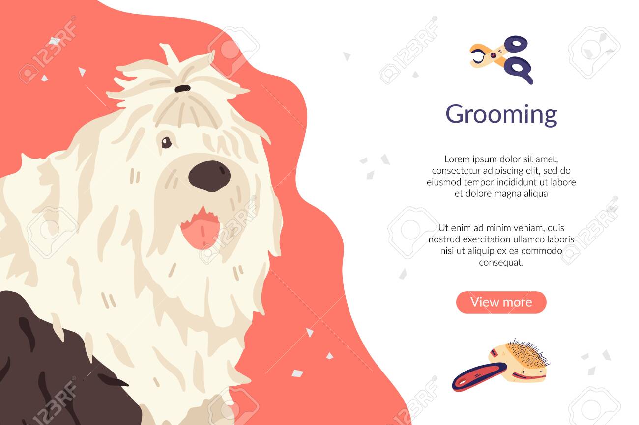 Landing Page Template With Bobtail Dog Breed And Tools. Pet Care With Regard To Dog Grooming Flyers Template
