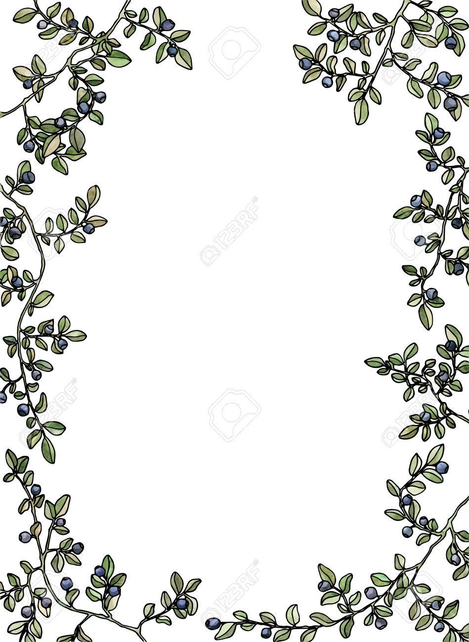 blueberries frame background pen drawing frame with flowers