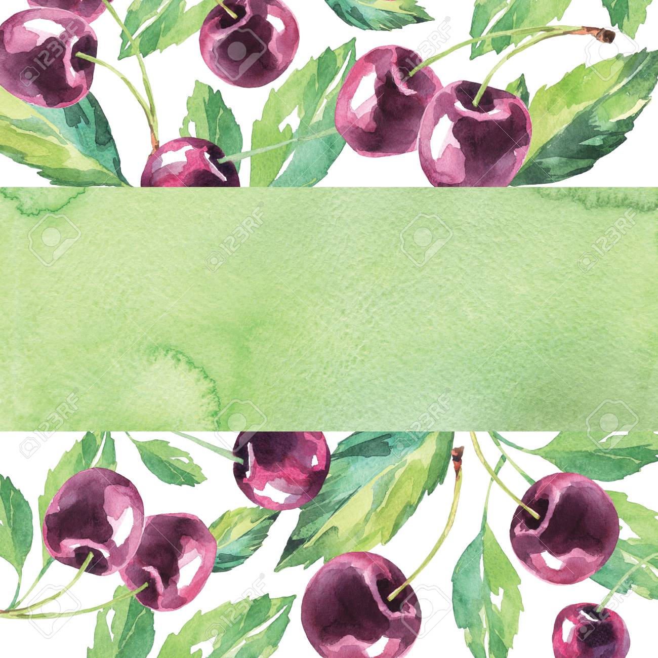 手描きの桜のフレーム 水彩のビンテージ夏背景 オリジナルの手描きイラスト 健康食品のデザイン 明るいおいしいテクスチャです の写真素材 画像素材 Image