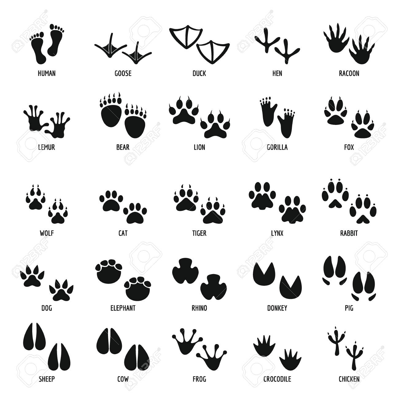 Animal footprint icons set, simple style - 90869178 Animal footprint icons set, simple style - 90869178