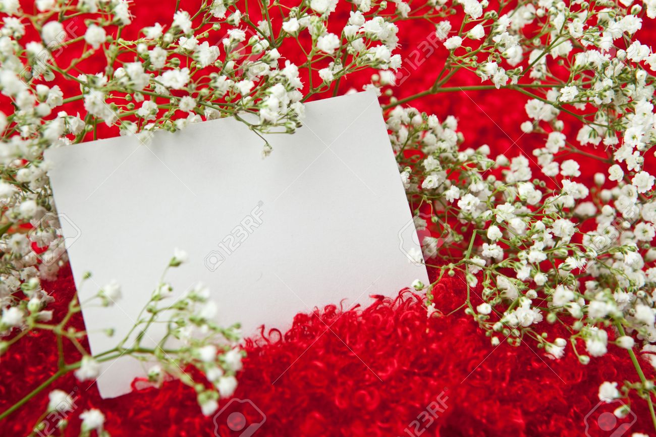 blank invitation cards under fontanacountryinn com invitation blank cards