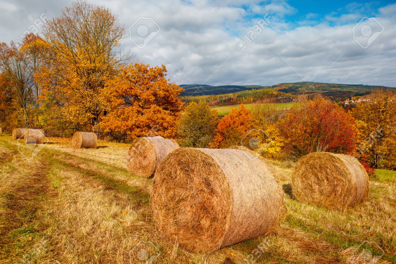 Couleurs D'automne À La Campagne Banque D'Images et Photos ...
