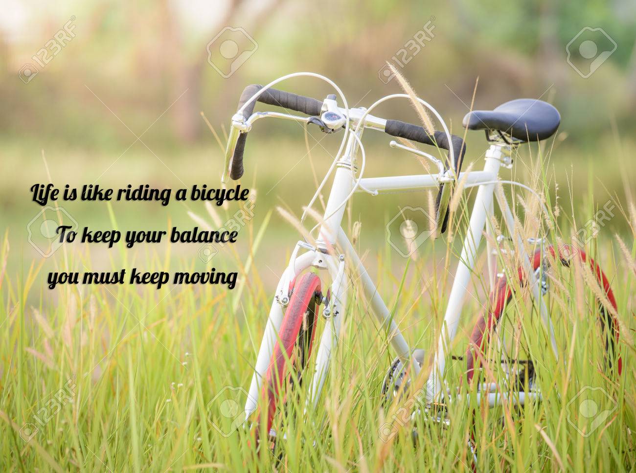 Life Quote. Inspirational Quote By Albert Einstein On Image Sport Vintage  Bicycle With Green Grass Field Stock Photo, Picture and Royalty Free Image.  Image 45074409., image size:1300x967