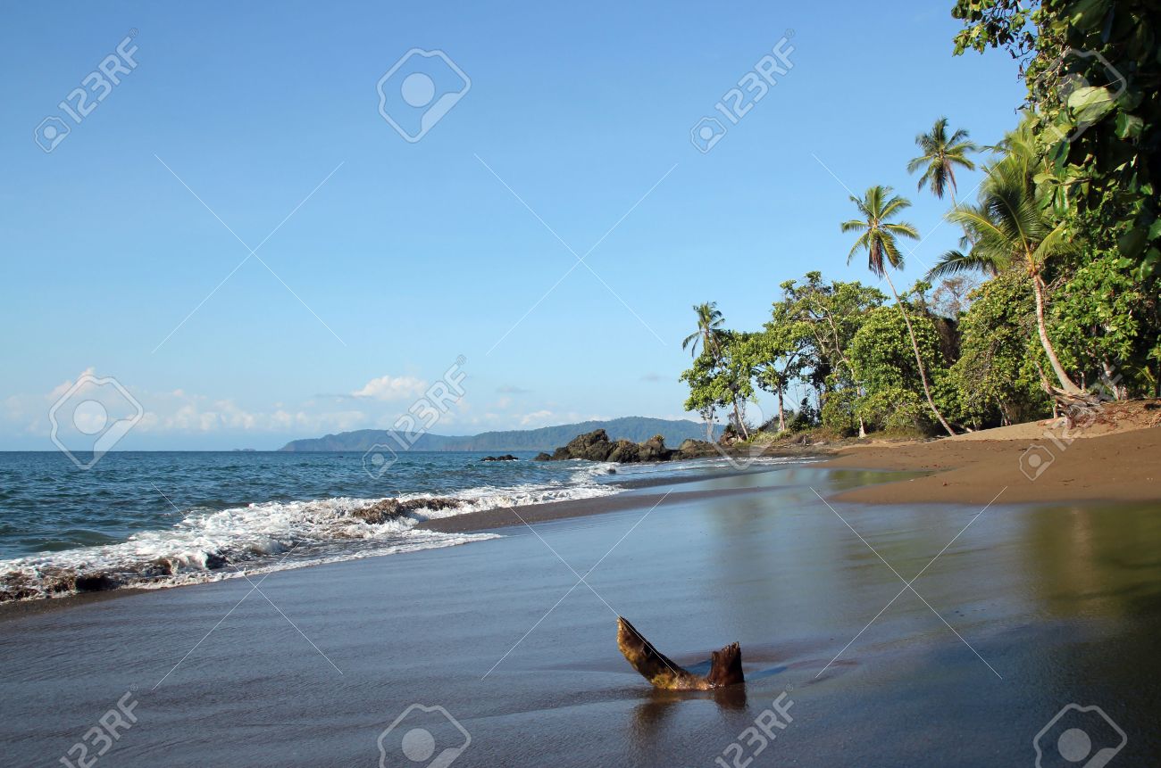 Beach In Drake Bay Osa Peninsula Costa Rica