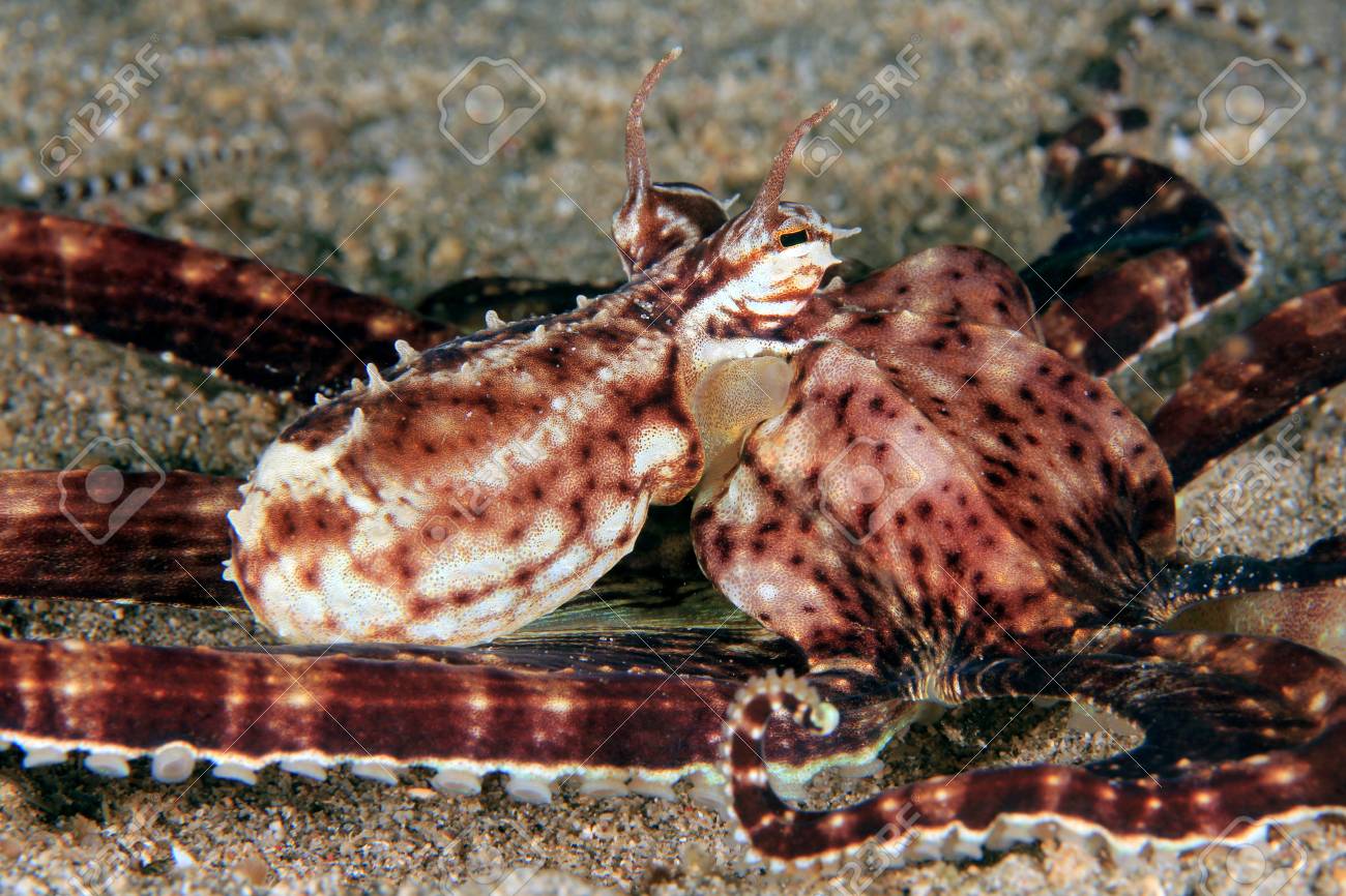 close up of a