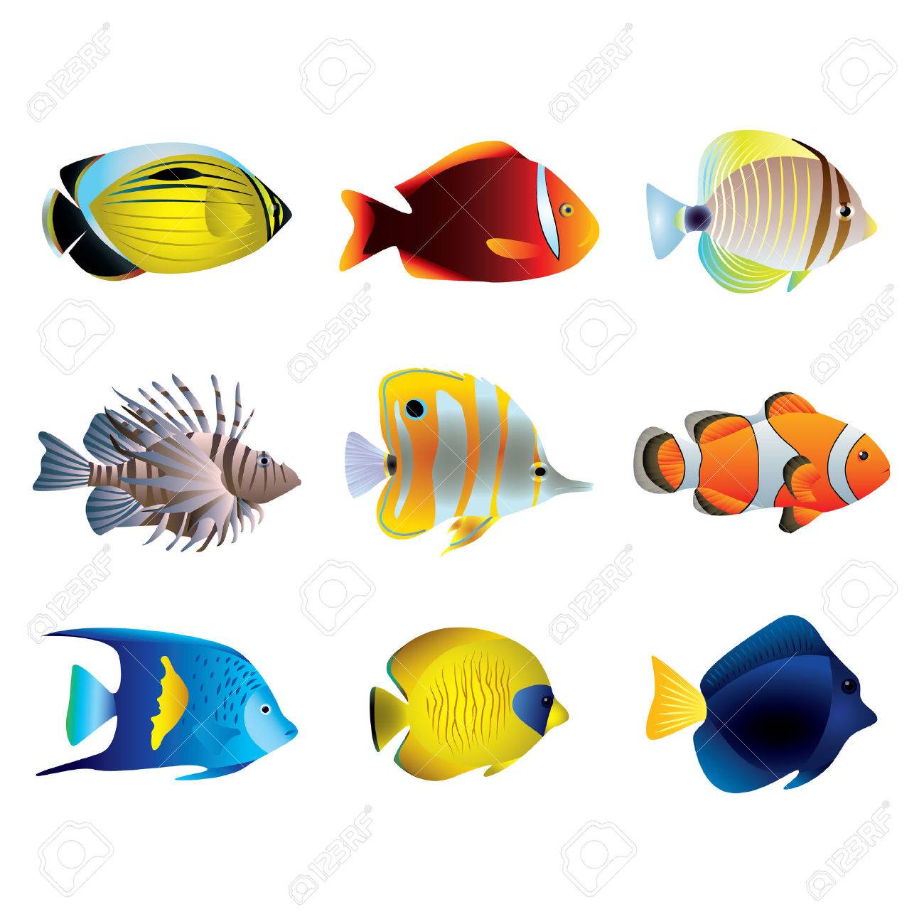 types of tropical fish