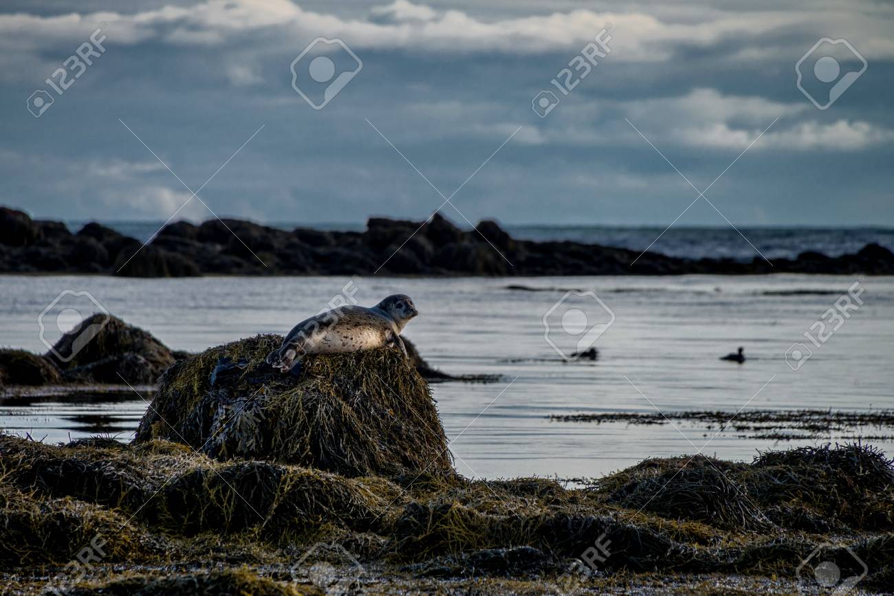 Tour Islanda Le Tappe Per Una Settimana Di Viaggio Blog