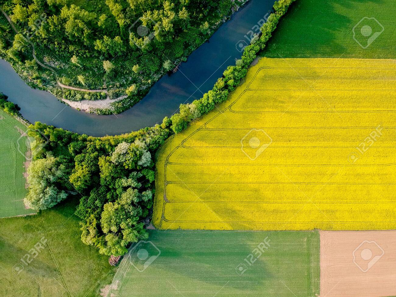 etiam-dictum-ipsum-a-felis